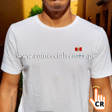 Cargar imagen en el visor de la galería, Pines de Símbolos Patrios Resinados Con Broche Solaperos