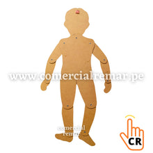 Cargar imagen en el visor de la galería, Niña de Madera Partes del Cuerpo con Movimiento Juego Didáctico